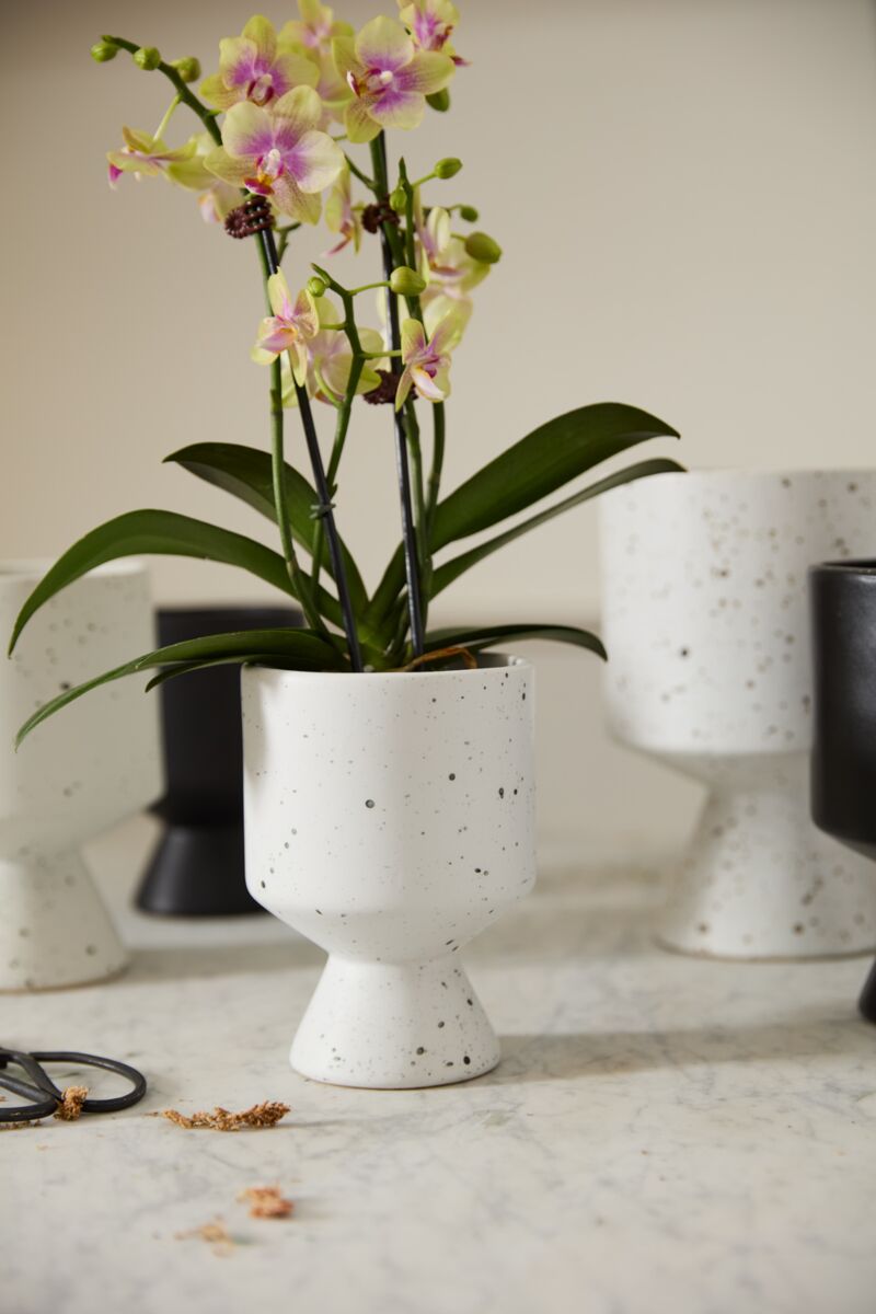 white speckled plant pot Dalmation Pot
