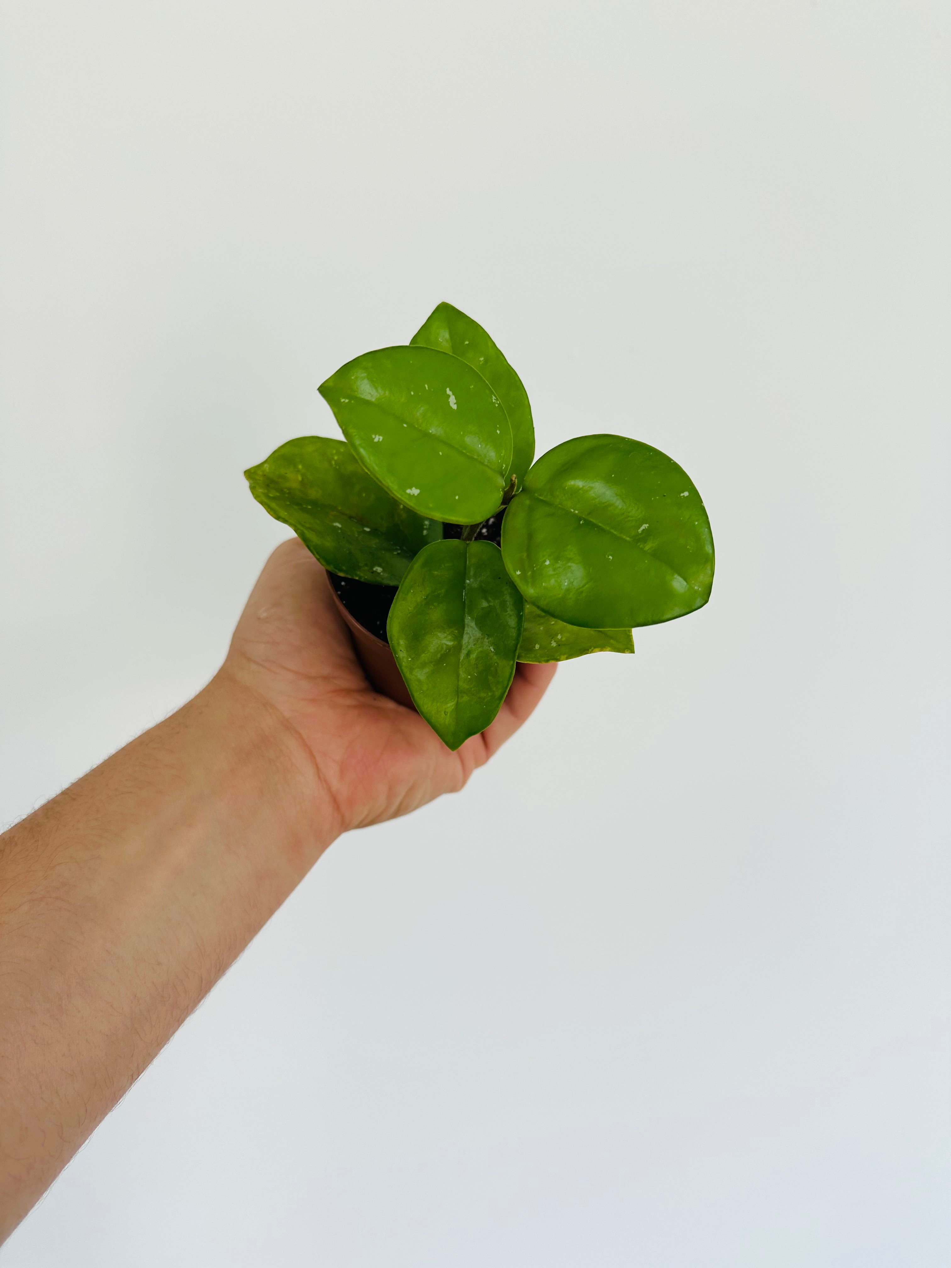 EFAF9928-CCA7-47E8-A9EC-