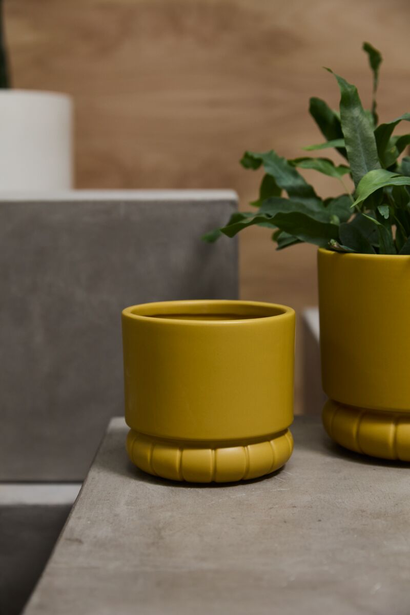 mustard yellow plant pot Mustard Bloom Planter