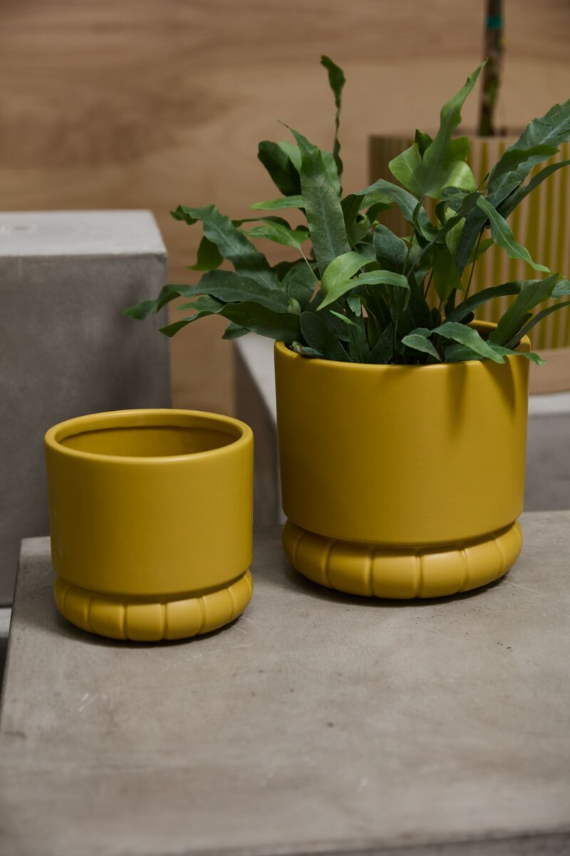 large yellow plant pot Mustard Bloom Planter – Brumley & Bloom