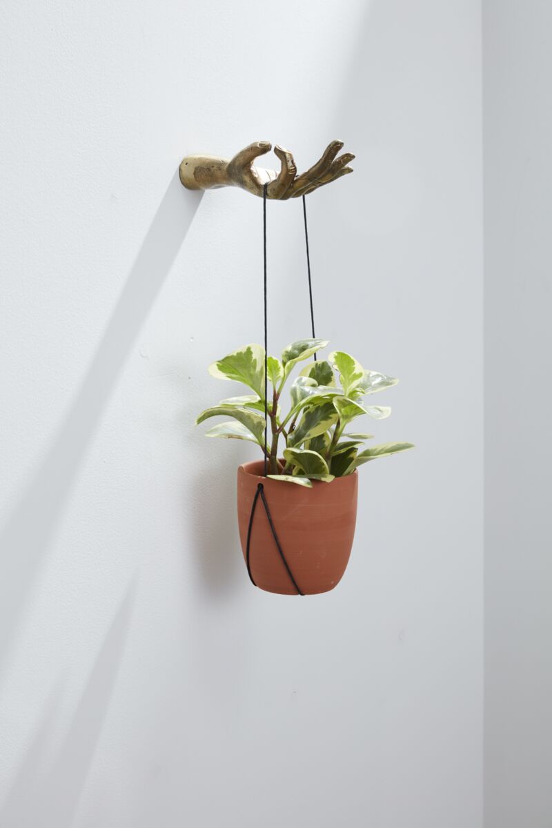 plant hanging hooks Boho Wall Hook – Brumley & Bloom