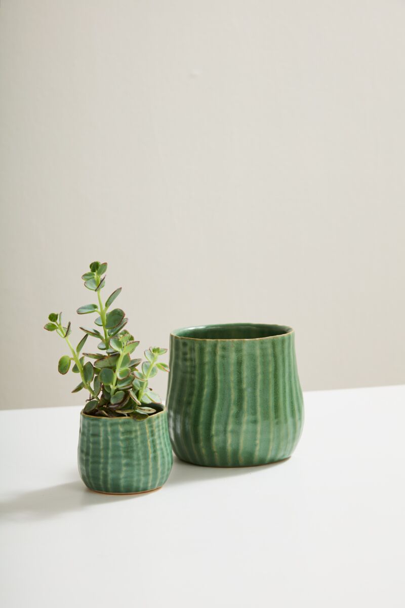 palmer planter Caspian Grove Ceramic Planter