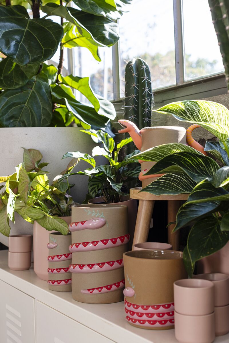 snake planter Snake Planter