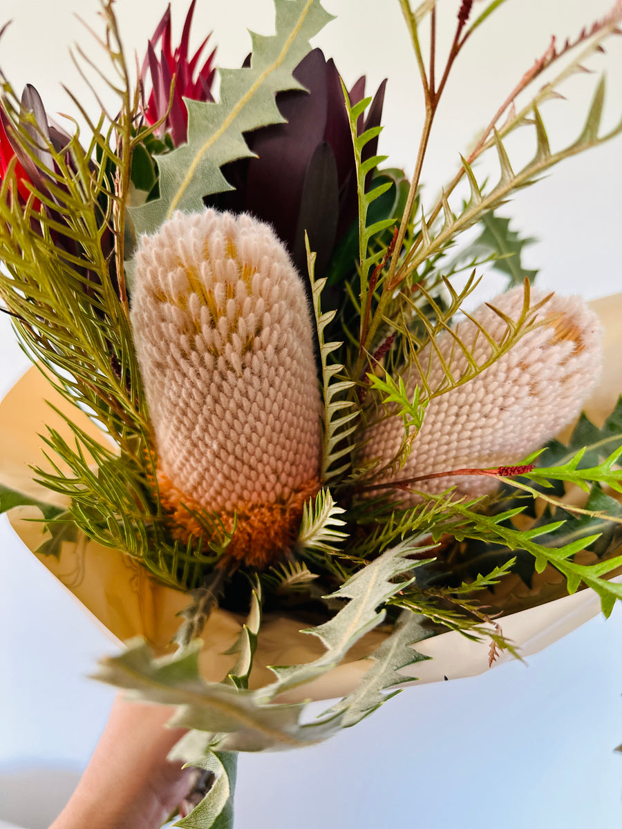 Banksia Protea Bouquet - Fresh Cut Protea Flower Arrangement