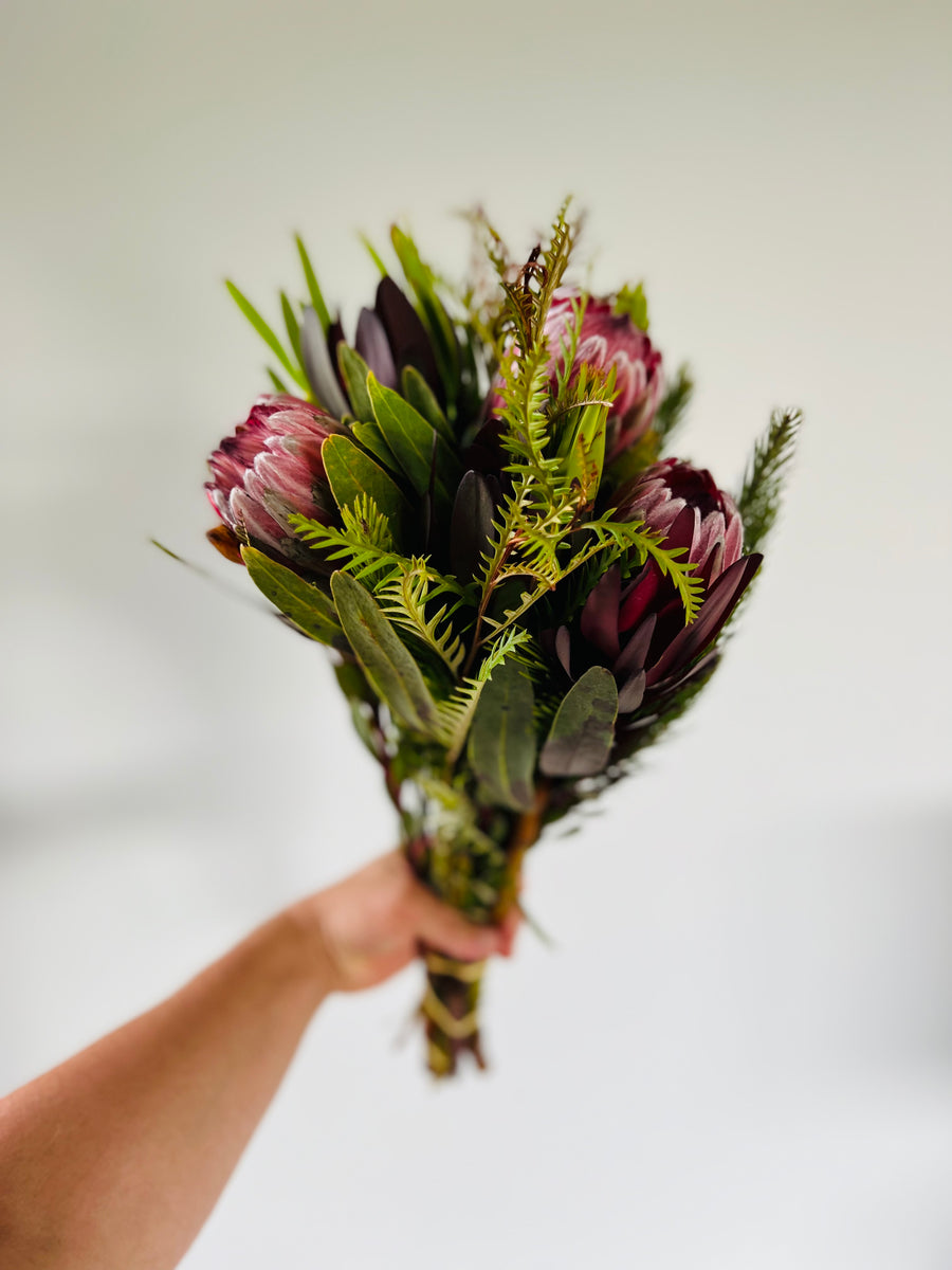 Pink Ice Protea Bouquet - Fresh Cut Protea Flower Arrangement