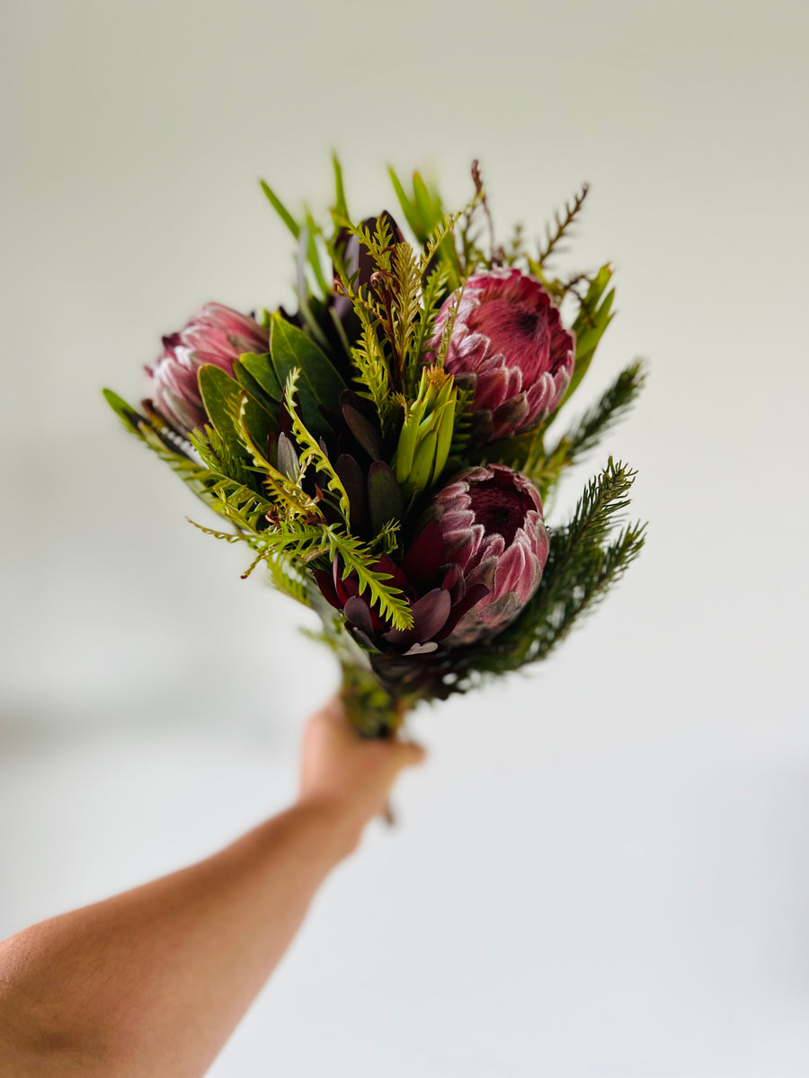 Pink Ice Protea Bouquet - Fresh Cut Protea Flower Arrangement