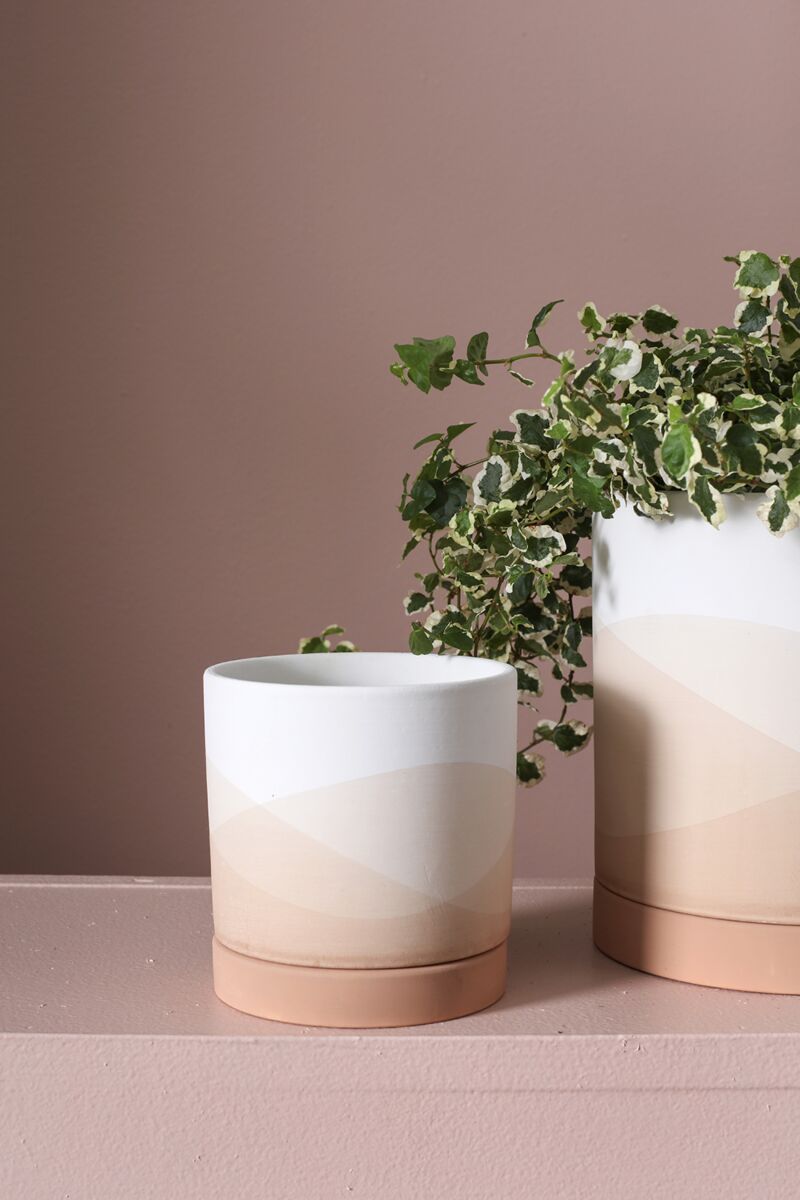 Minimalist Planter - Planter with Watering Saucer - Fits 4