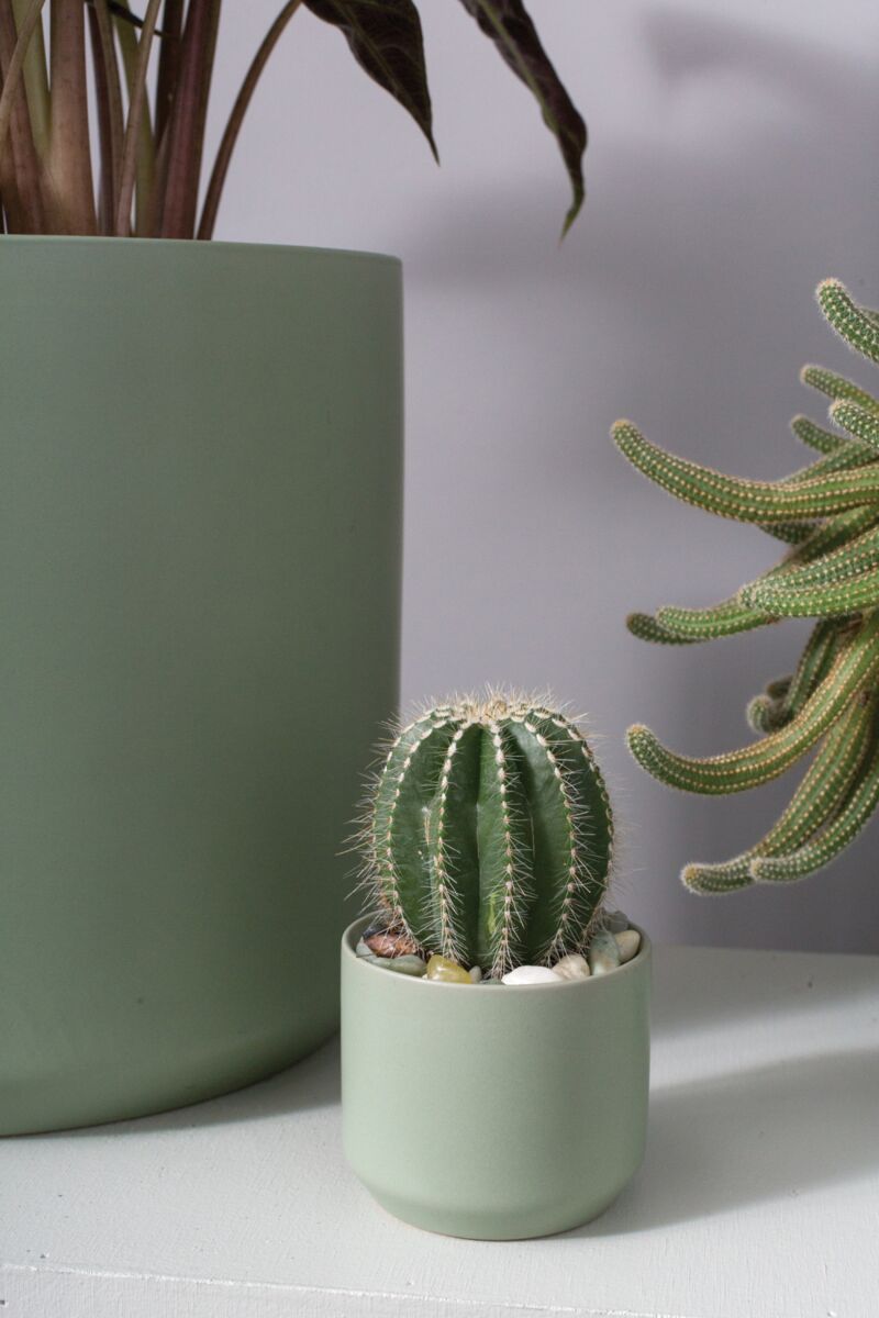 Modern Matte Pot in Olive - 3