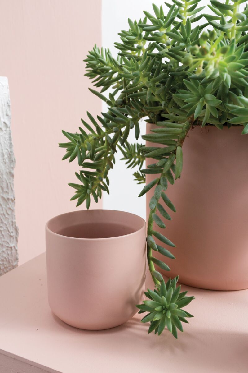 Modern Matte Pot in Pink - 3