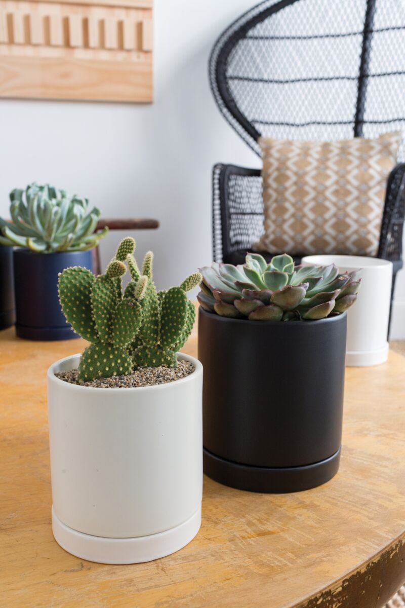 Avery Pot - Planter with Watering Saucer - Matte White - Fits 4