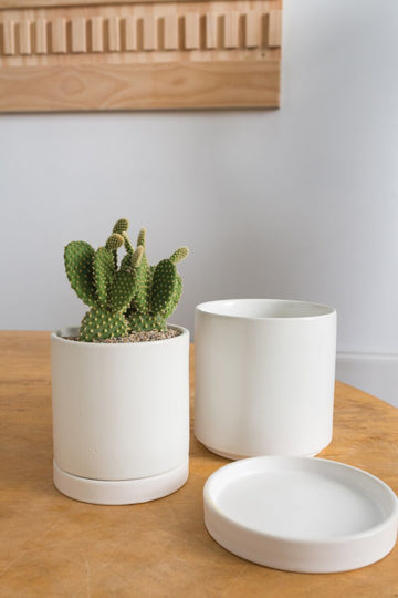 Avery Pot - Planter with Watering Saucer - Matte White