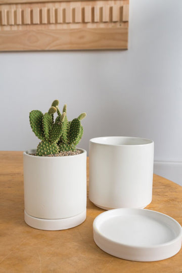 Avery Pot - Planter with Watering Saucer - Matte White - Fits 4