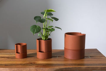 Oliver Self Watering Pot - Burnt Orange - Fits 6