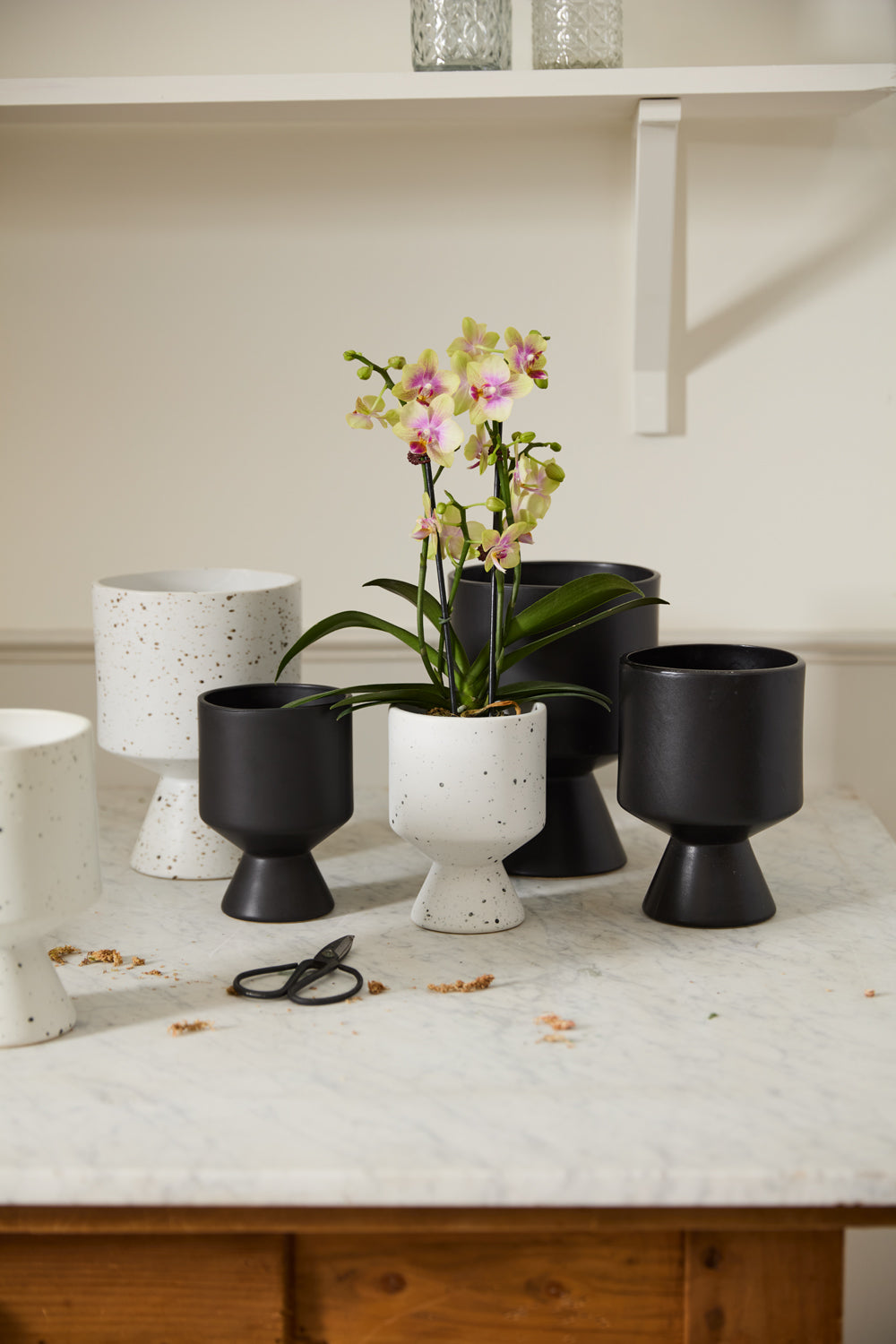 nappula plant pot Dalmation Pot