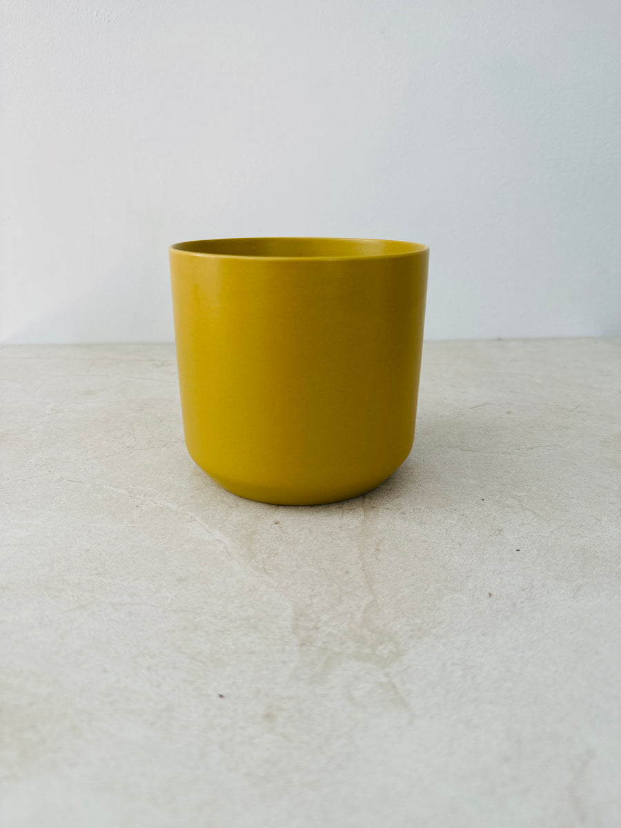 Modern Matte Pot in Chartreusse - 4.75