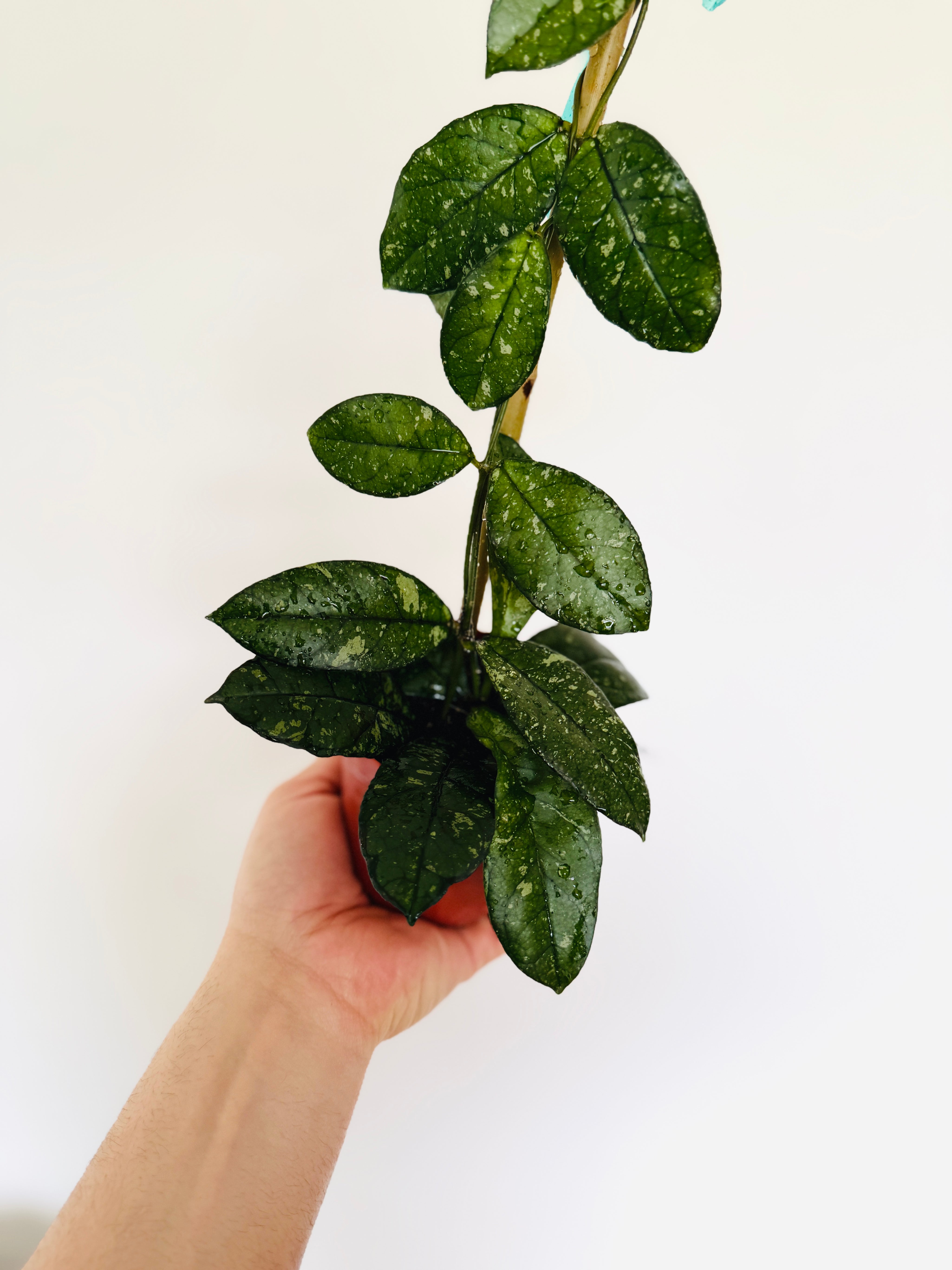 E8DF8A1C-7570-4144-92FF-