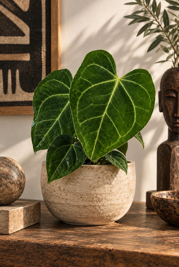 Products – Brumley & Bloom