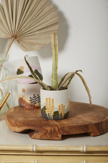 Watercolor Desert Pot