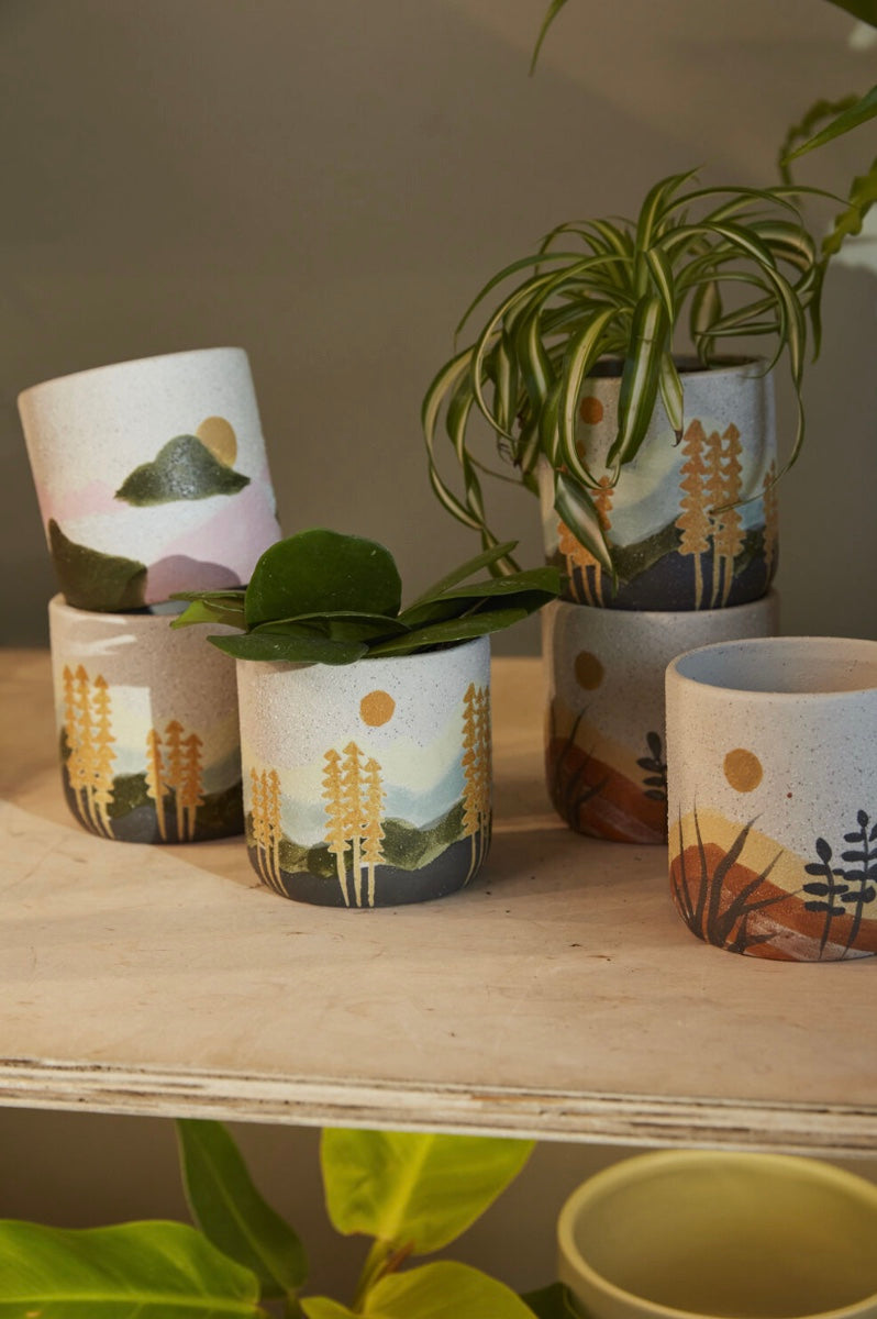 Watercolor Desert Pot