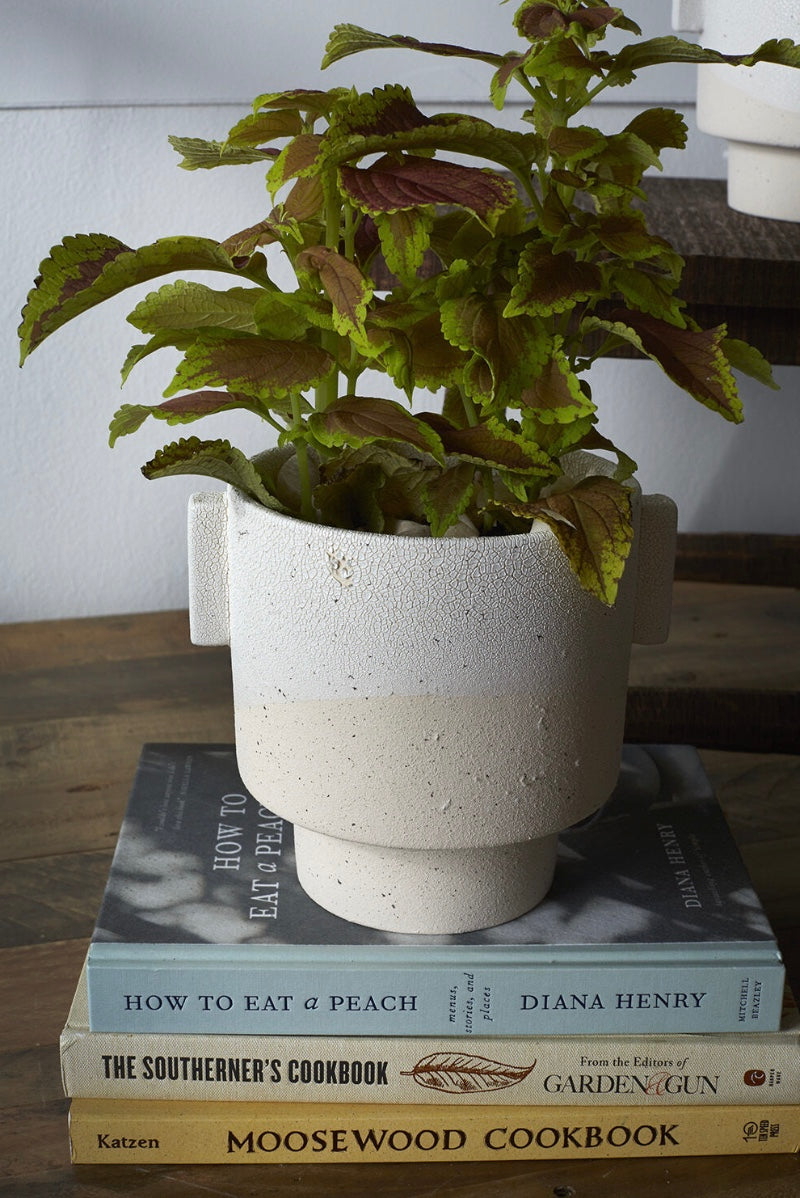 Sahara Planter