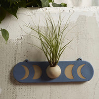 moon hanging planter Moon Phase Wall Planter – Brumley & Bloom