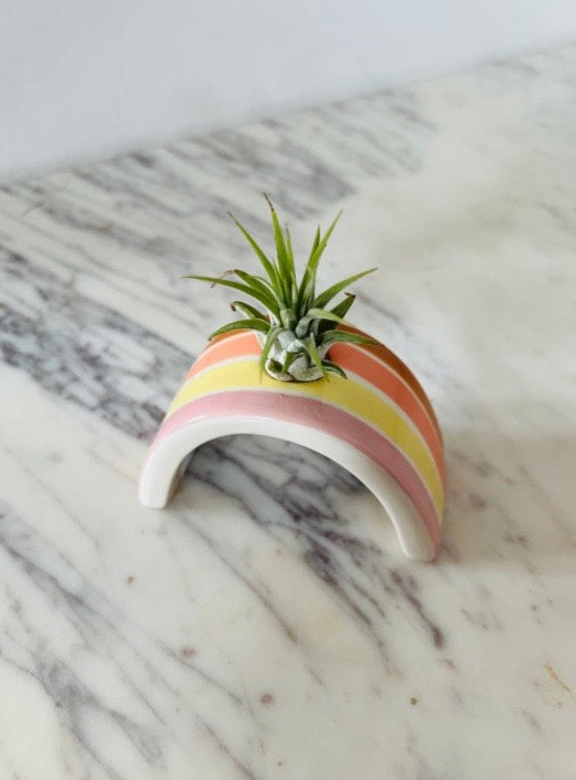 Rainbow Airplant Holder