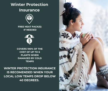 Winter Protection Insurance- Covers Up to 6 Plants