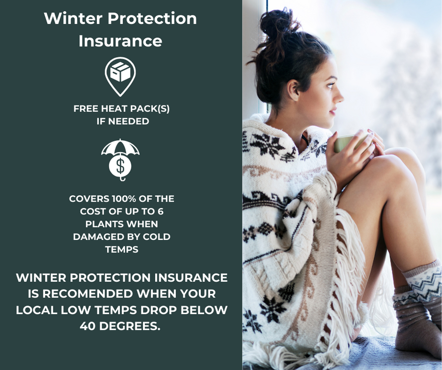 Winter Protection Insurance - Covers Up to 6 Plants