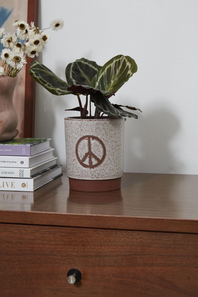 Peace Bloom Planter