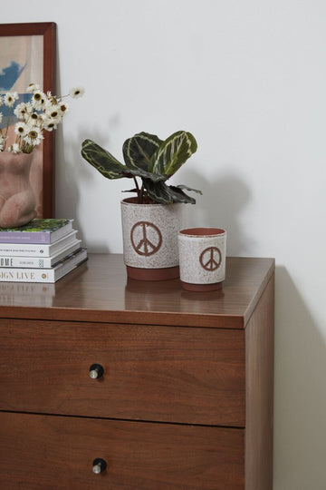 Peace Bloom Planter