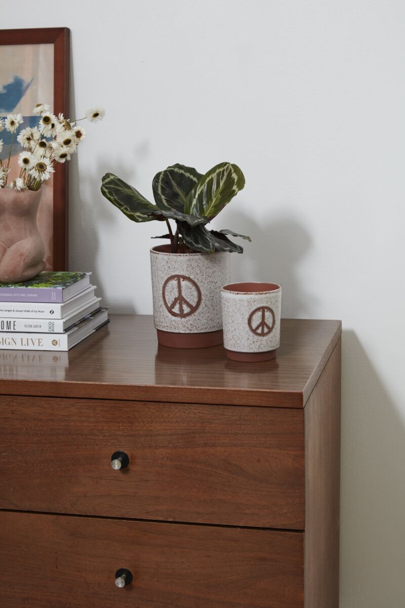 Peace Bloom Planter