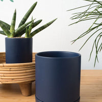 artificial plant in navy pot Avery Pot - Planter with Watering Saucer
