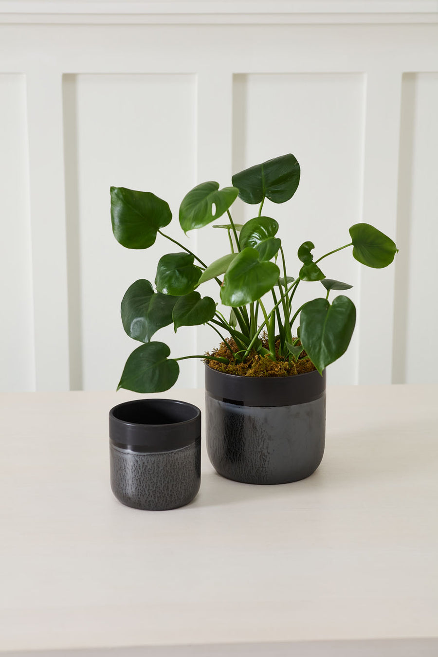 Obsidian Drift Planter