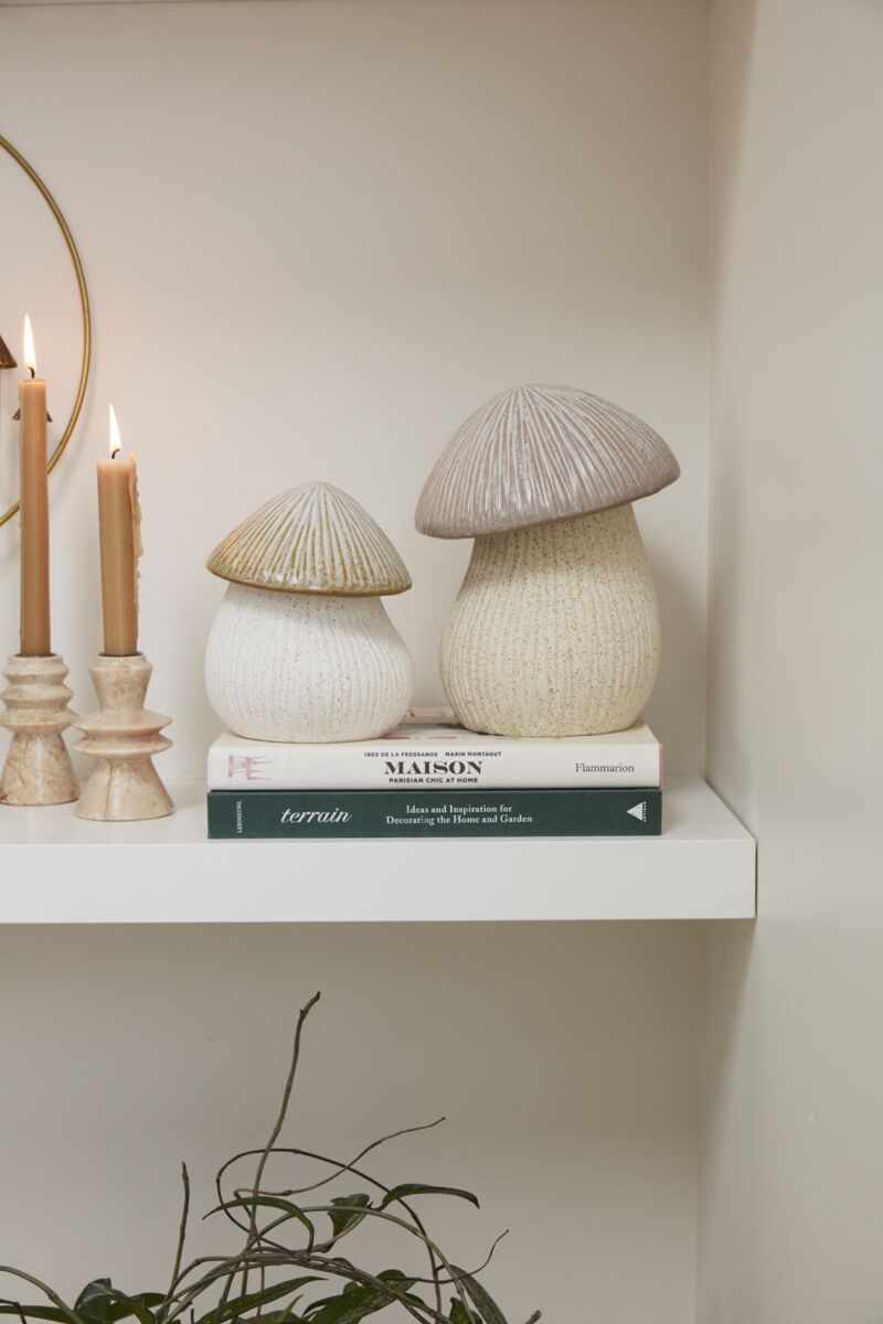 Fungii Pot - Mushroom Decor
