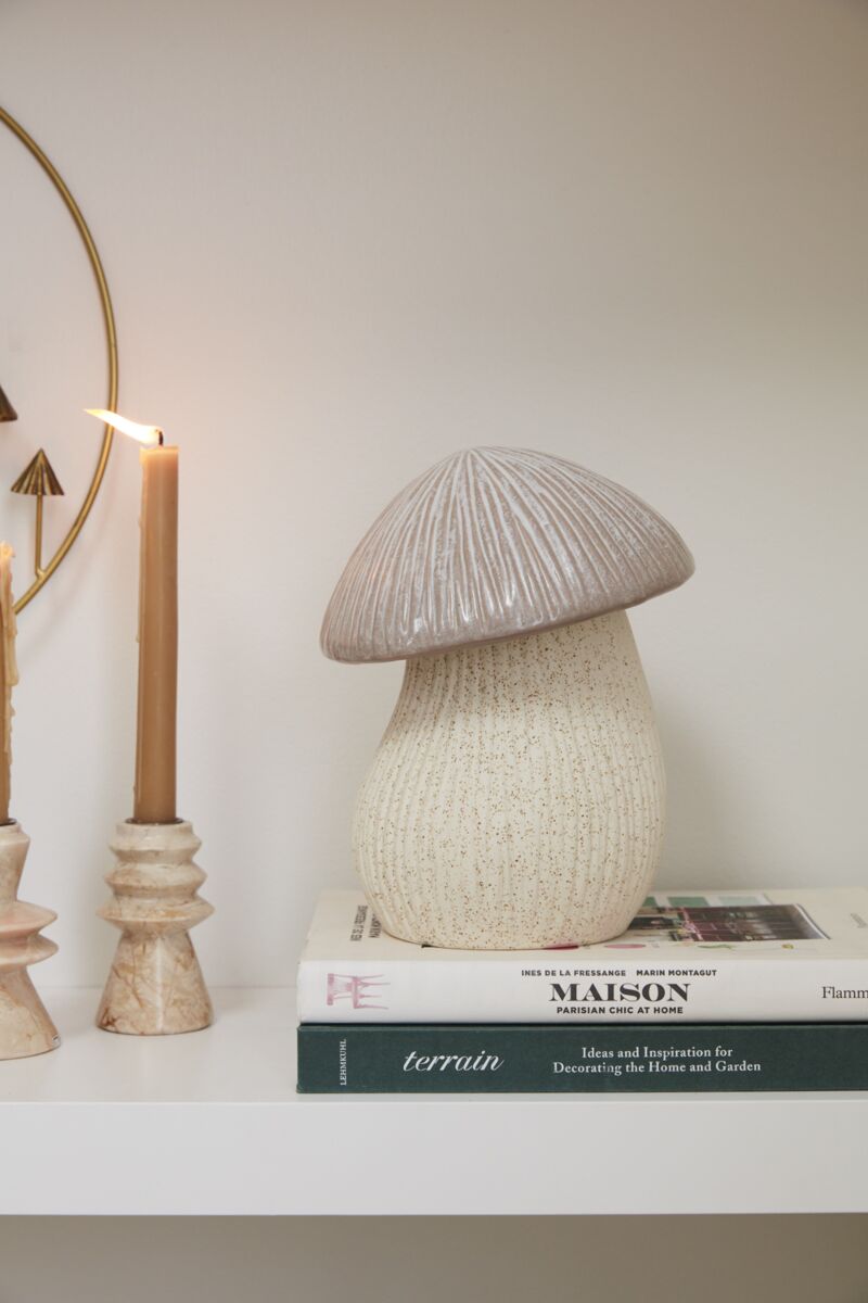 Fungii Pot - Mushroom Decor