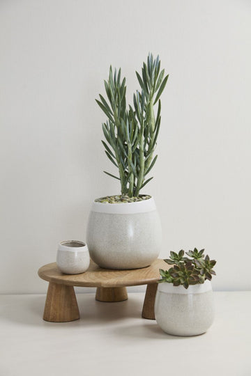 Camber Planter
