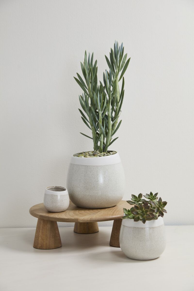 Camber Planter