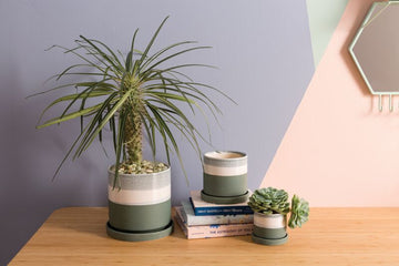 Conrad Planter