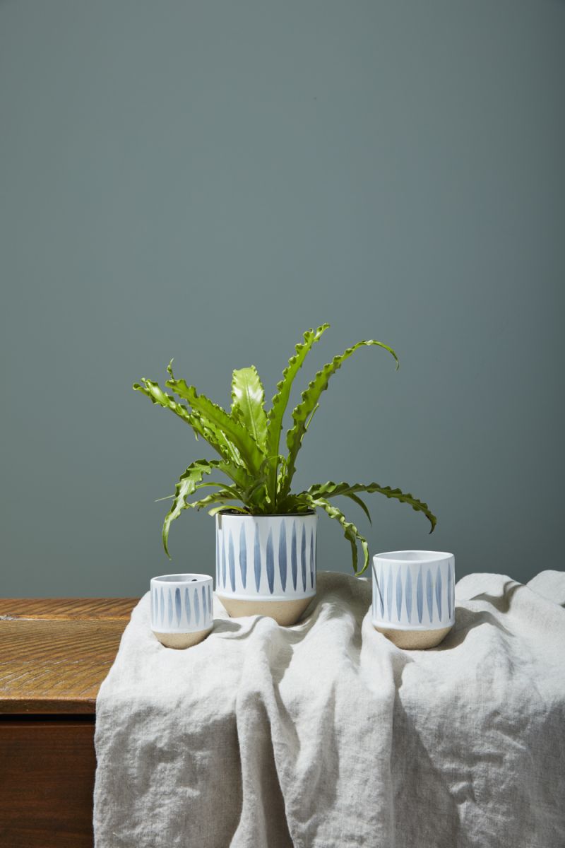 Kai Pot