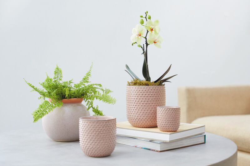 Parisian Planter