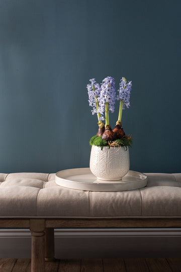 Lacework Ceramic Planter - 6