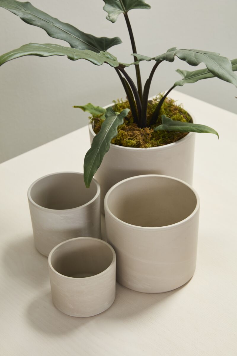 Fulton Planter