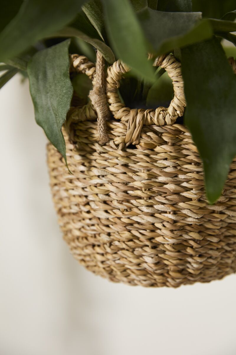 Paloma Hanging Basket