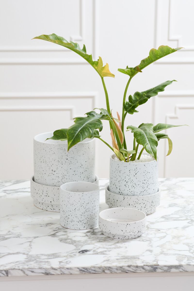 Saltpoint Planter