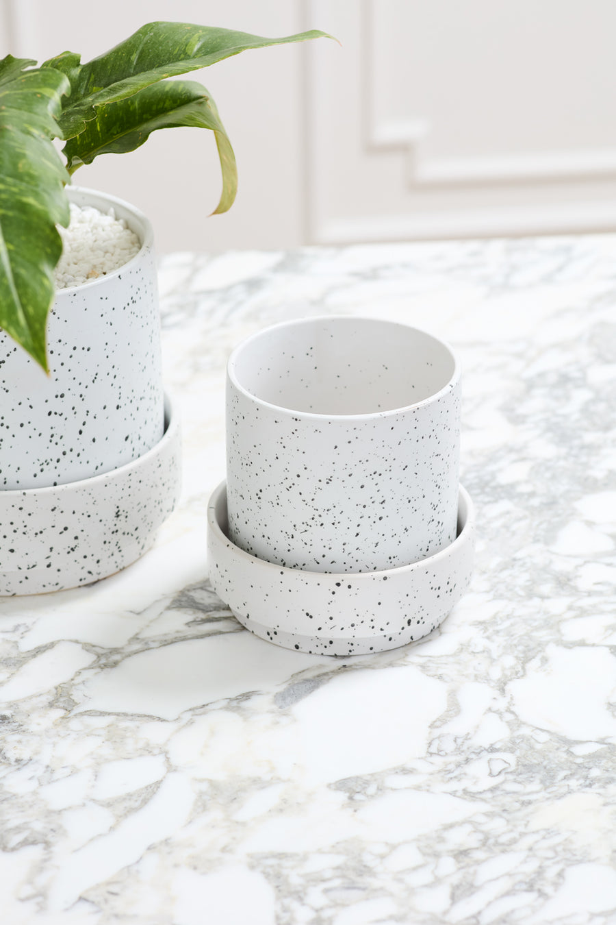 Saltpoint Planter