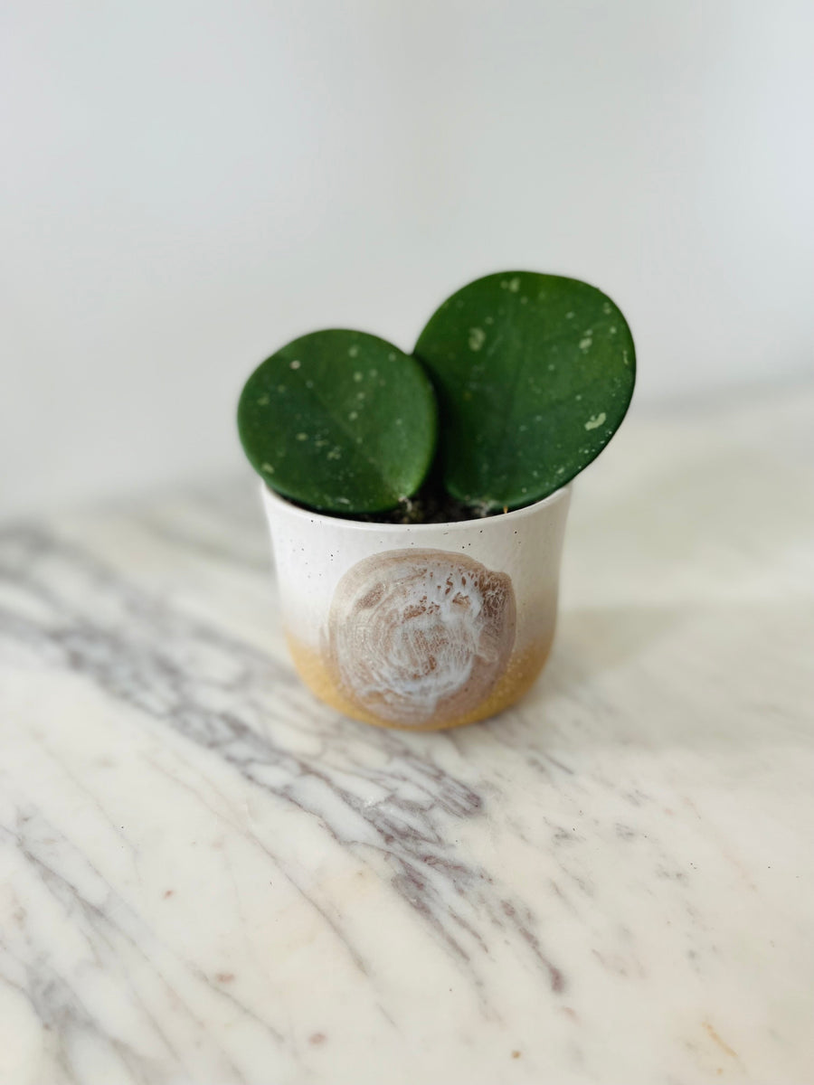Lunar Planter