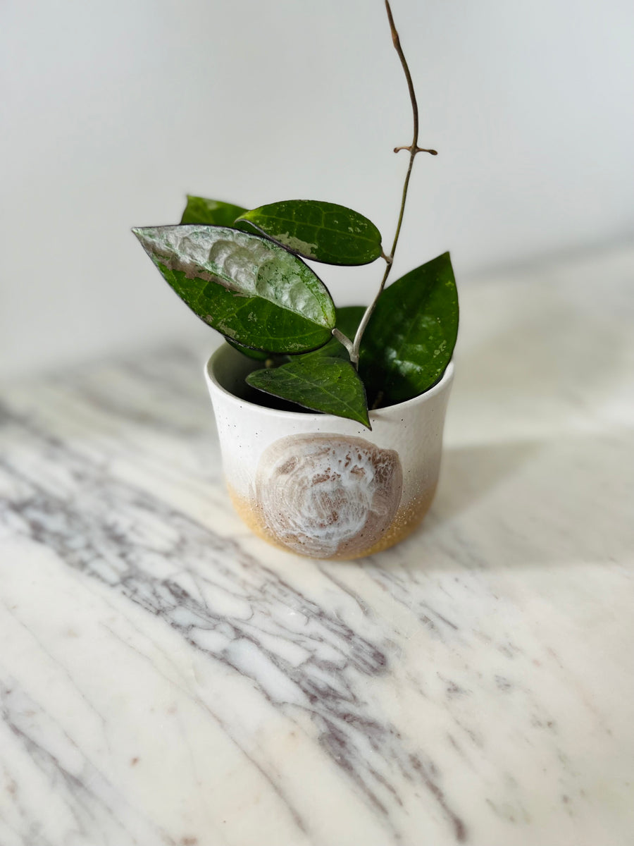 Lunar Planter