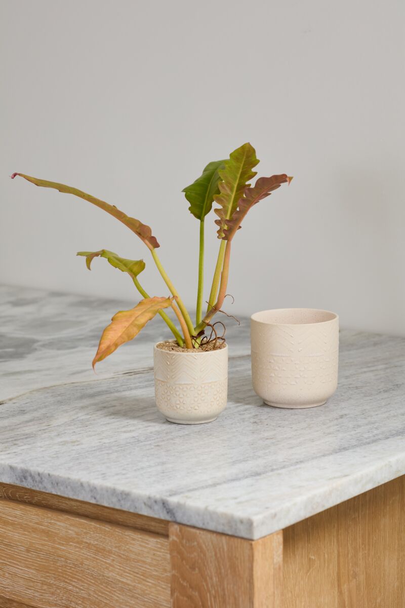 Indra Clay Planter