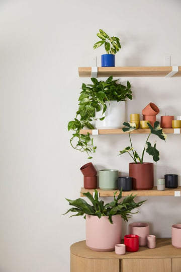 Roux Planter