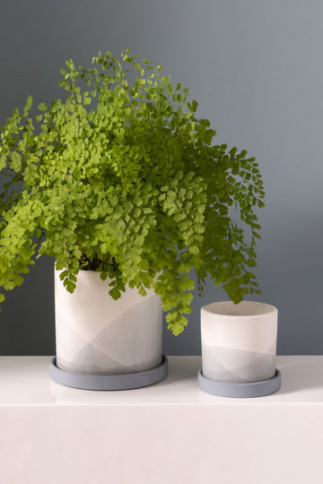 Minimalist Planter - Planter with Watering Saucer - Fits 4